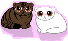 Cats