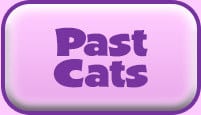 Past_cats