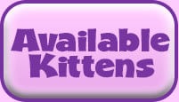 available_kittens